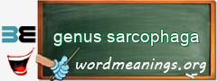 WordMeaning blackboard for genus sarcophaga